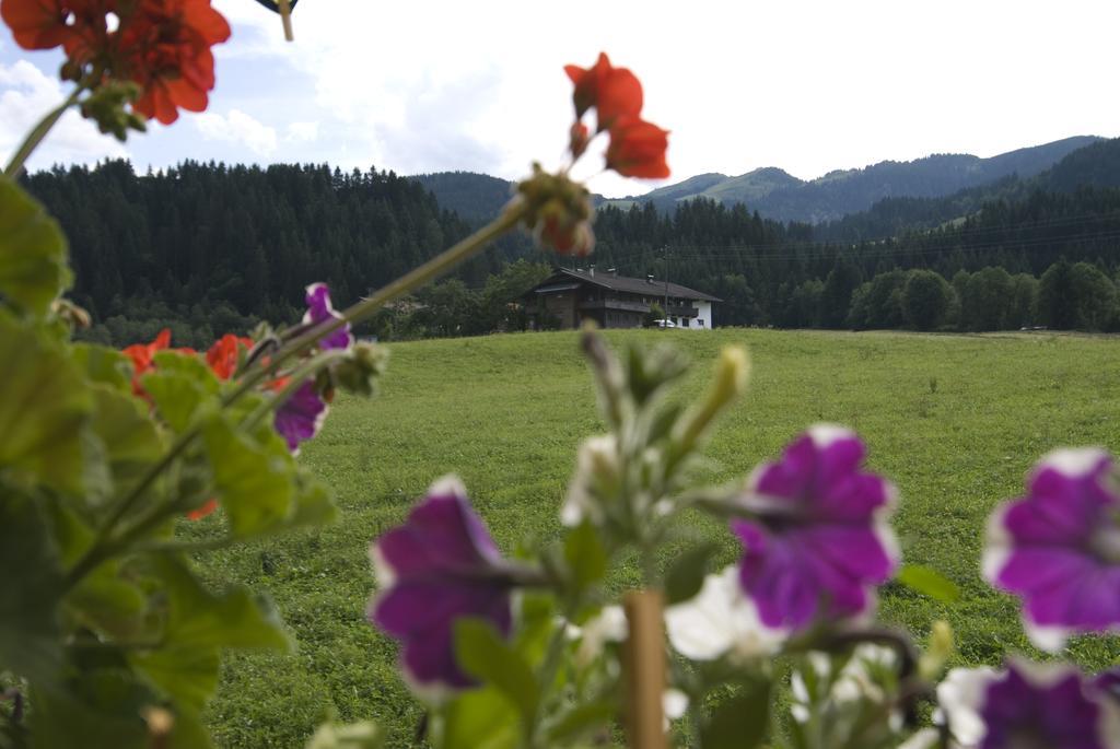 Haus Schatzbergblick Oberau Ngoại thất bức ảnh